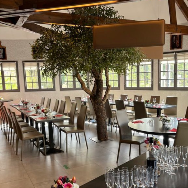 restaurant joue les tours - lac des bretonnieres - joue les tours restaurant